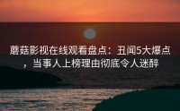 蘑菇影视在线观看盘点：丑闻5大爆点，当事人上榜理由彻底令人迷醉