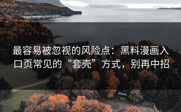 最容易被忽视的风险点：黑料漫画入口页常见的“套壳”方式，别再中招